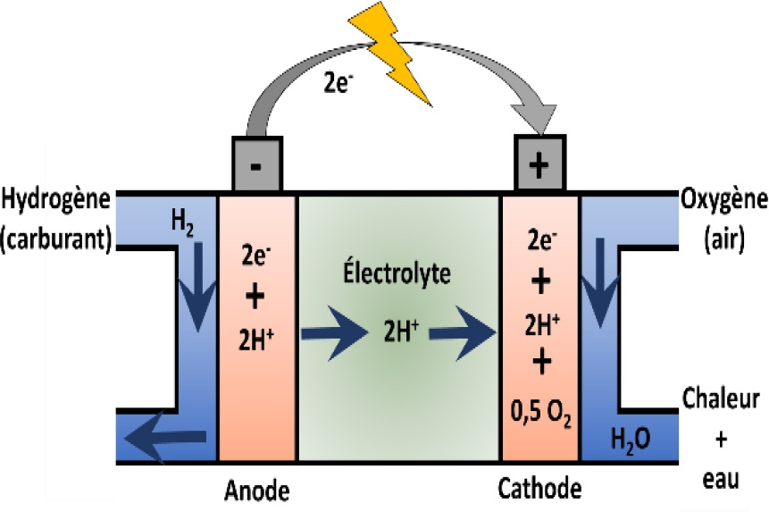 Fonction du moteur thermique [Motorisation]